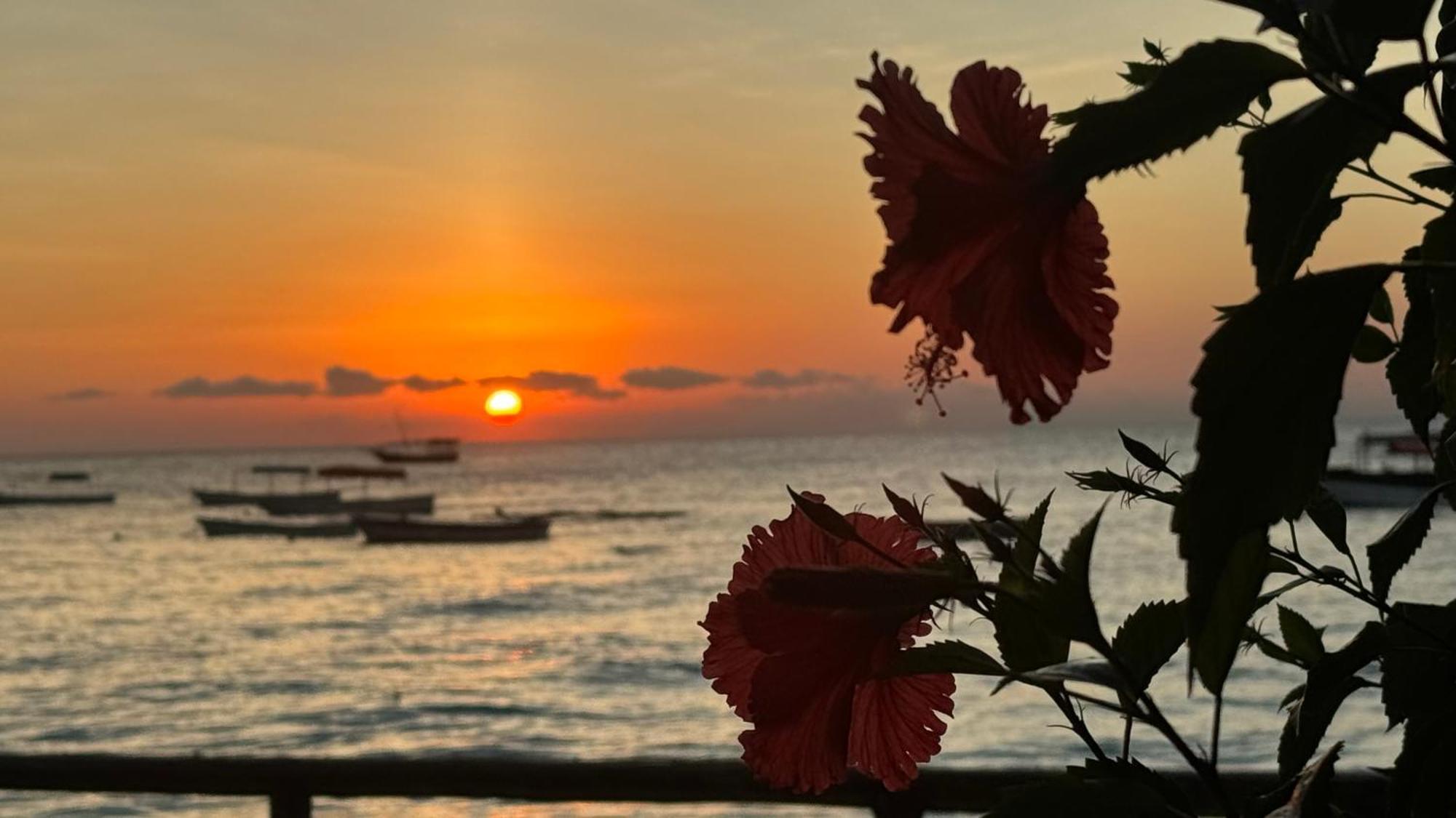 Hotell Blue Tides